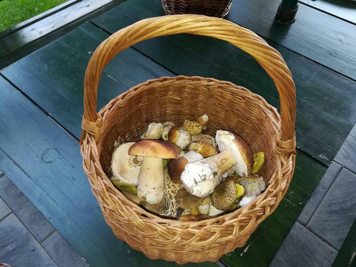 Chata pod lesem Rýmařov Esterno foto